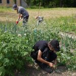 Obergruppen | Arbeiten und Wirtschaften | Beet